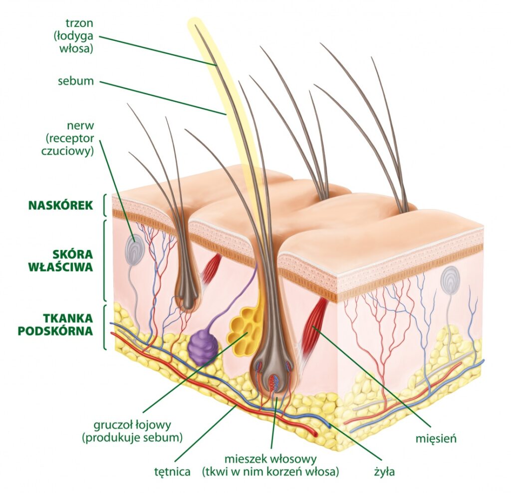 Masaż klasyczny opole