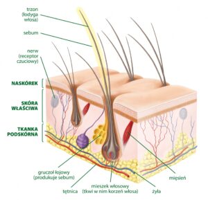 Masaż klasyczny opole